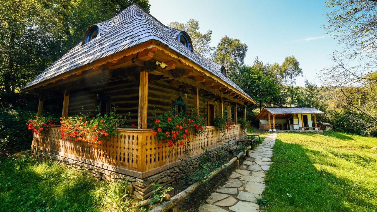 Casa Lu' Ion Villa Viseu de Sus Exterior photo